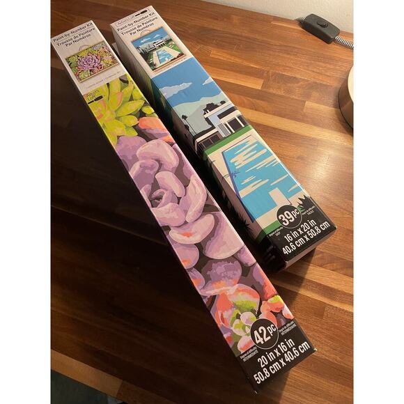 NEW Set of (2) Artist's Loft Paint by Numbers - Modern House/Pool & Succulents - Picture 2 of 9